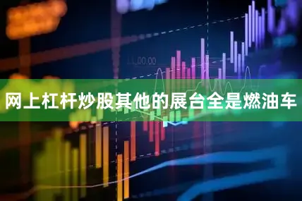 网上杠杆炒股其他的展台全是燃油车